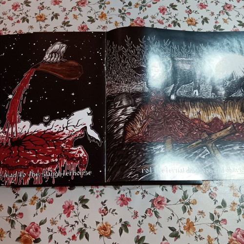 Hate Forest Against All Odds album, folk black metal