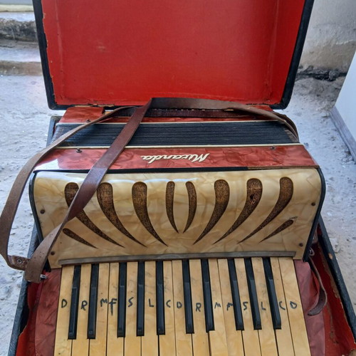 Accordion used, needs repair and cleaning, case damaged