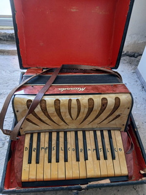 Accordion used, needs repair and cleaning, case damaged
