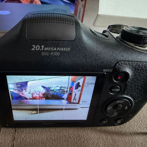 Sony H300 camera with 20 megapixels and 35x optical zoom
