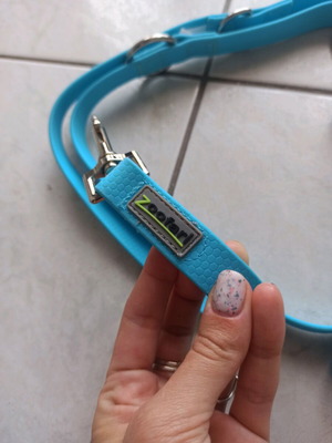 Dog leash new
