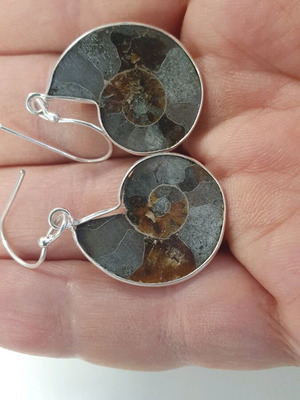 Σκουλαρίκια με τομές απολιθωμένων αμμωνιτών επάργυρα, καινούργια