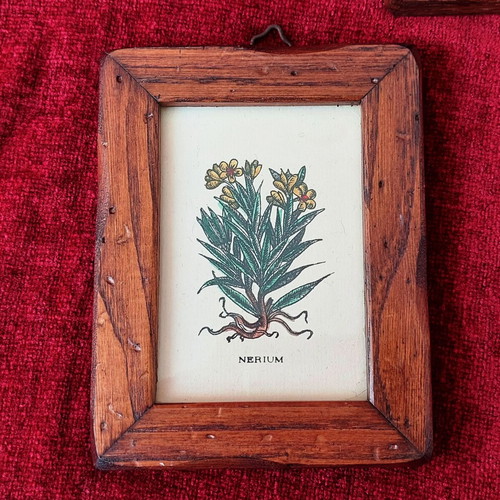 Collection of 3 mini frames with wooden frame like new