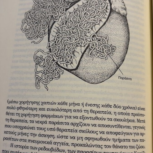 The Heart by Bill Schutt new book in Greek