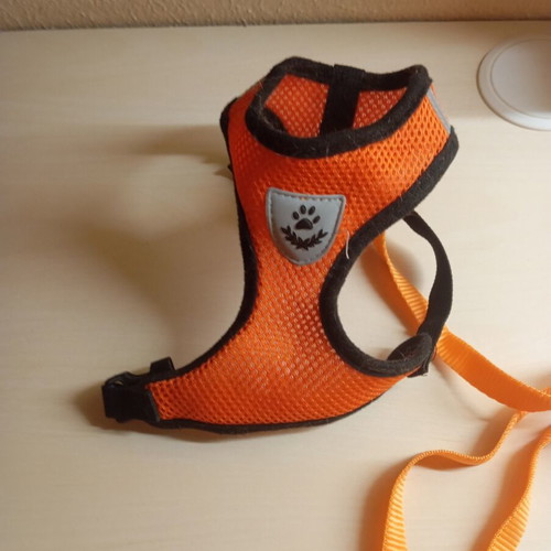 Small dog or cat leash, 1 meter length