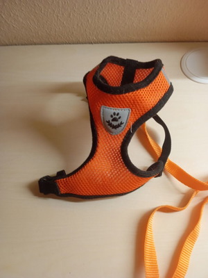 Small dog or cat leash, 1 meter length