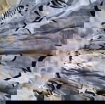  H&m φούστα ν34 small/xsmall