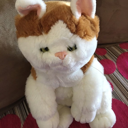 Plush cat used 20x40cm