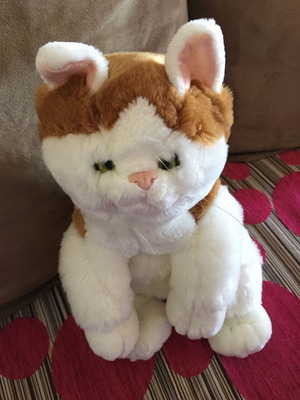 Plush cat used 20x40cm