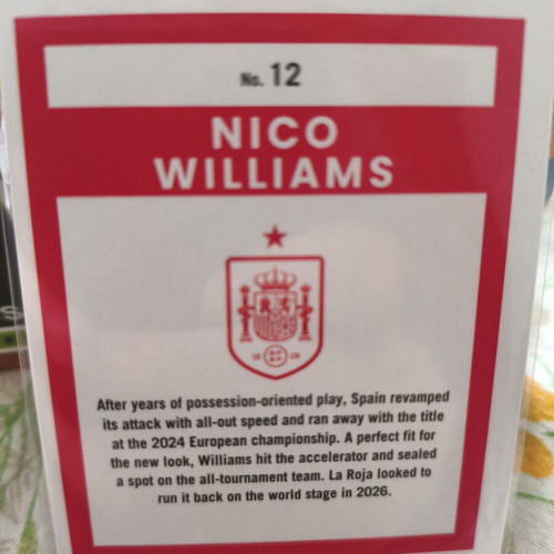 Nico Williams bronze Panini FIFA Road to World Cup sticker new