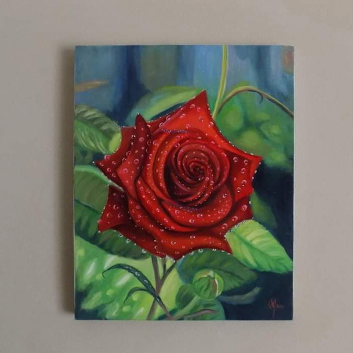Oil painting new, Rose 50x40 cm