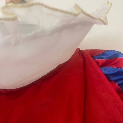 Snow White Costume from Disneyland worn once