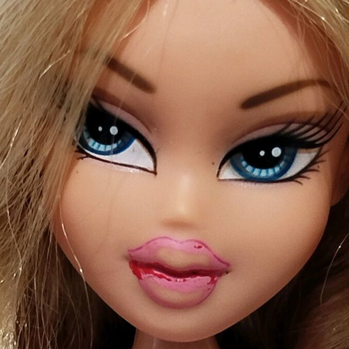 Bratz Pampered Petz Cloe used, incomplete with flaws