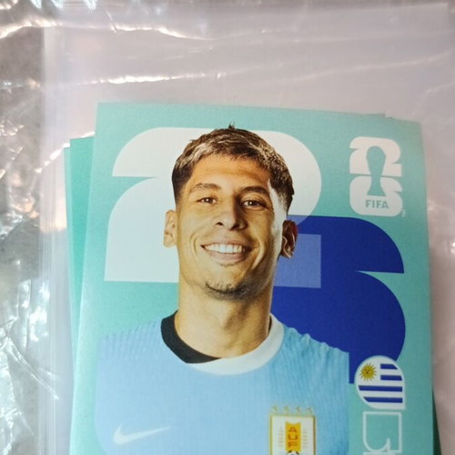 Panini FIFA World Cup 2026 sticker like new