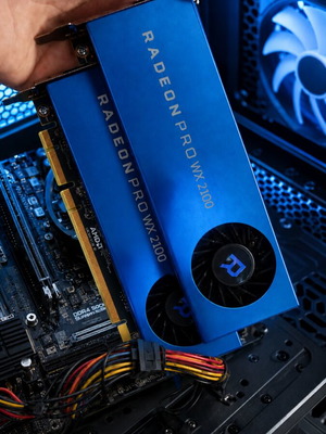 AMD Radeon Pro WX 2100 graphics cards, new, pack of 2