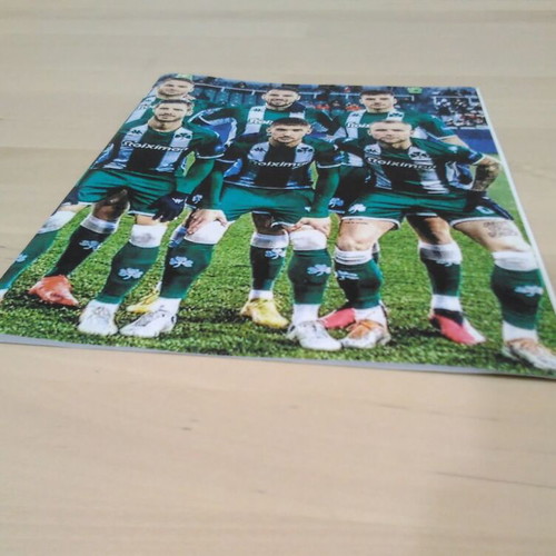 Panathinaikos football team small collectible poster 2022 like new