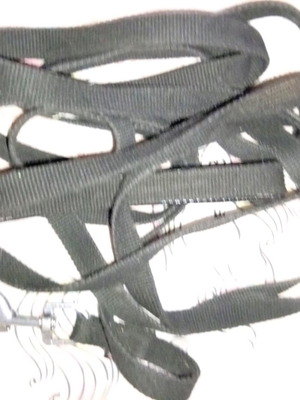 Very long used leash