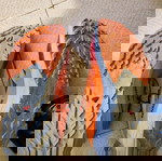  Salomon Sense Ride 5 Ανδρικά Αθλητικά Παπούτσια Trail Running Shocking Orange νούμερο 41,5