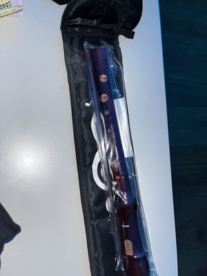 Hohner Musica Line Soprano Recorder with Fabric Case, new