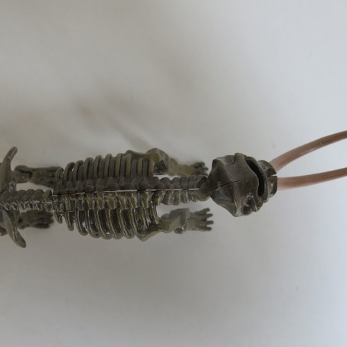 Miniature Mammoth Skeleton "Ice Age Excavation Kit" Geoworld like new