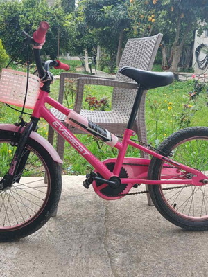 Everest 18-inch bicycle like new, girls'