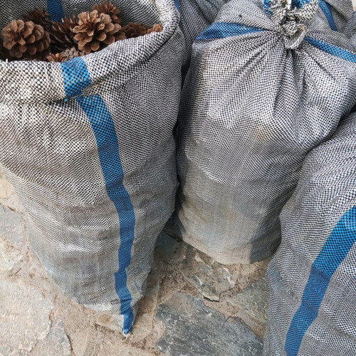 Pine cones used for crafts and art projects, sack of 230-250 pcs