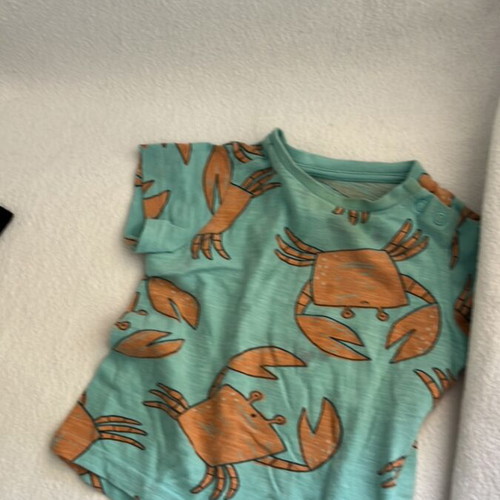 Baby clothes set used, 11 t-shirts, 1 shorts, 3 hats, swimwear for 12-18 months