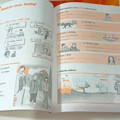 The Cat Is Back Junior B Teacher's Workbook like new