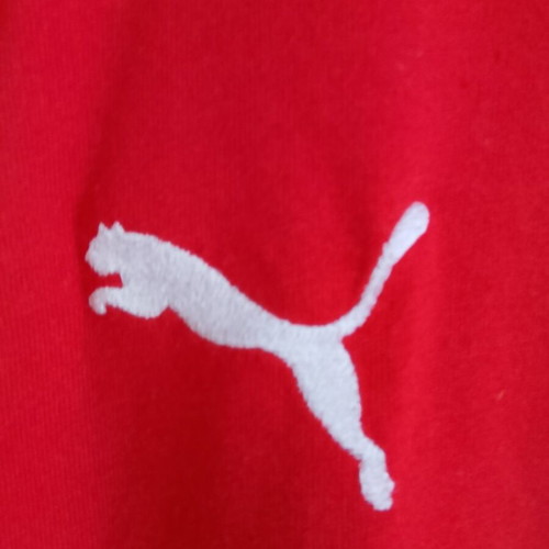 Puma Olympiacos Training T-Shirt original, size L, like new