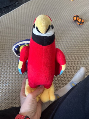 Plush parrot like new