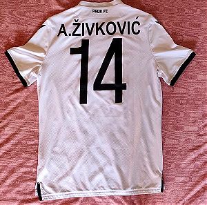 ΠΑΟΚ 2020 - Zivcovic 14 (medium) + Κασκόλ