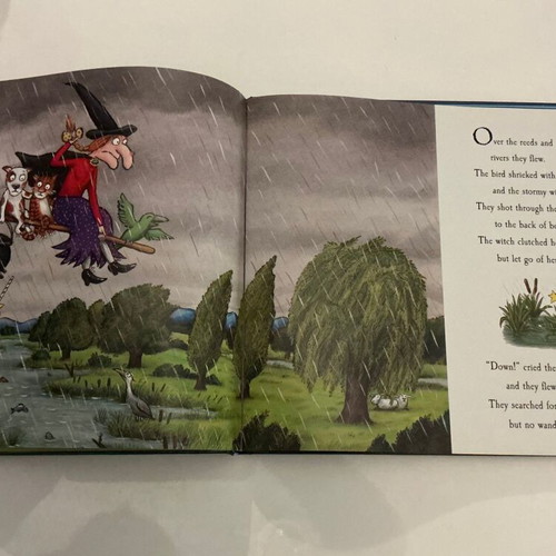 Room On The Broom book used, English