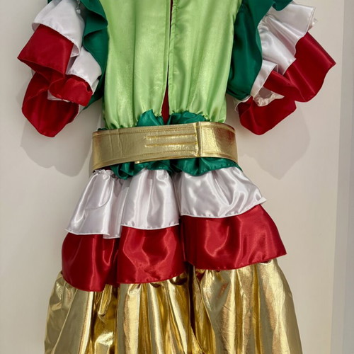 Carnival costume for girls like new, age 6-8