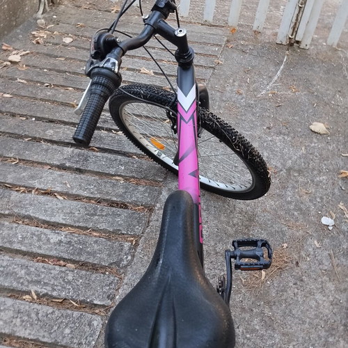 Orient Snake 24" Mountain Bike like new, 21-speed, V-Brakes