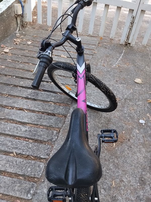 Orient Snake 24" Mountain Bike like new, 21-speed, V-Brakes