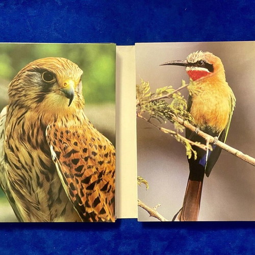 The Life of Birds BBC 4-DVD documentary series like new