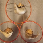 Bird hanging mobile used