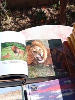 Children's books new, pack of 4 with pictures