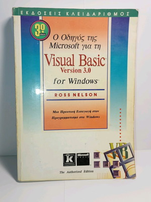 Visual Basic for Windows book used