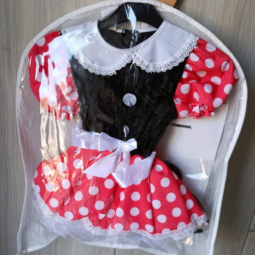 Mouse costume like new for 4 years old