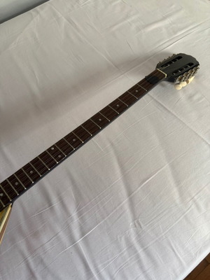 Bouzouki with case and pick like new