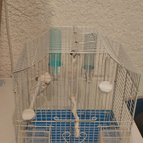 Bird Cage like new with all accessories 33x26x19 cm