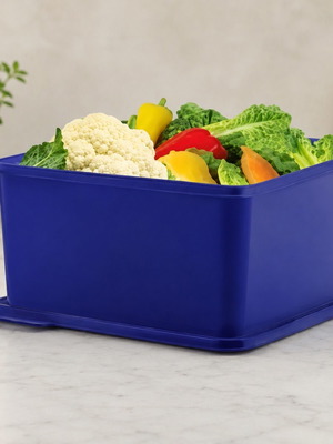 Tupperware Fresh 5-liter blue storage container new