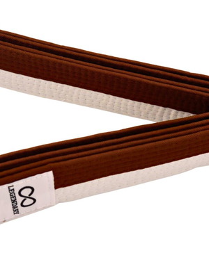 Legendary brown/white martial arts belt new