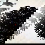  Πίνακας Α4 (20x30) από pvc 3mm για διακόσμηση τοίχου Predator.