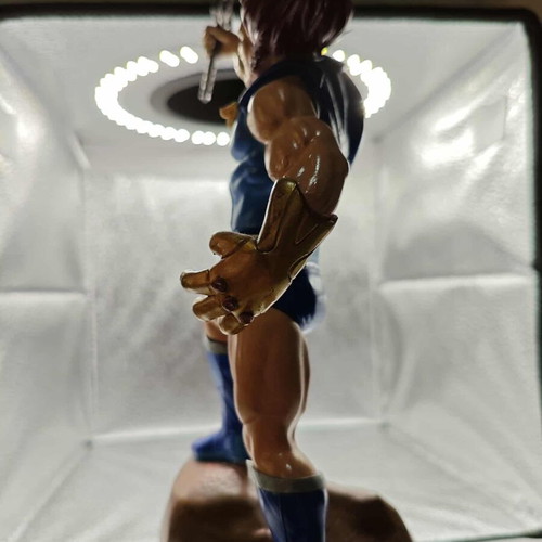 Αγαλματίδιο Lion-o από Thundercats ρητίνης καινούργιο, βαμμένο στο χέρι