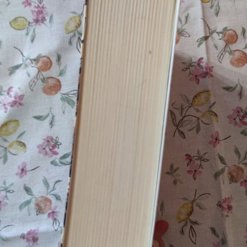 The Harem by Colin Falconer, modern literature book