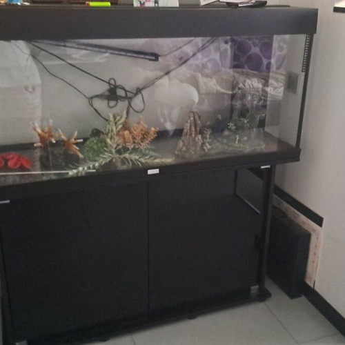 Juvel Rio 240 Aquarium used with accessories and cabinet