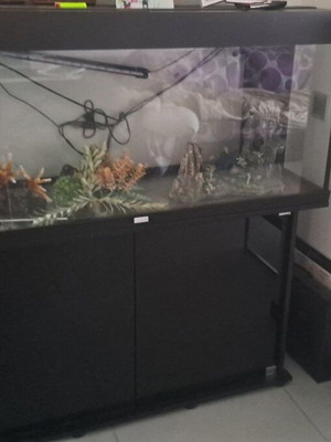Juvel Rio 240 Aquarium used with accessories and cabinet
