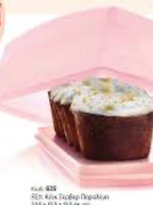 Tupperware cake server new